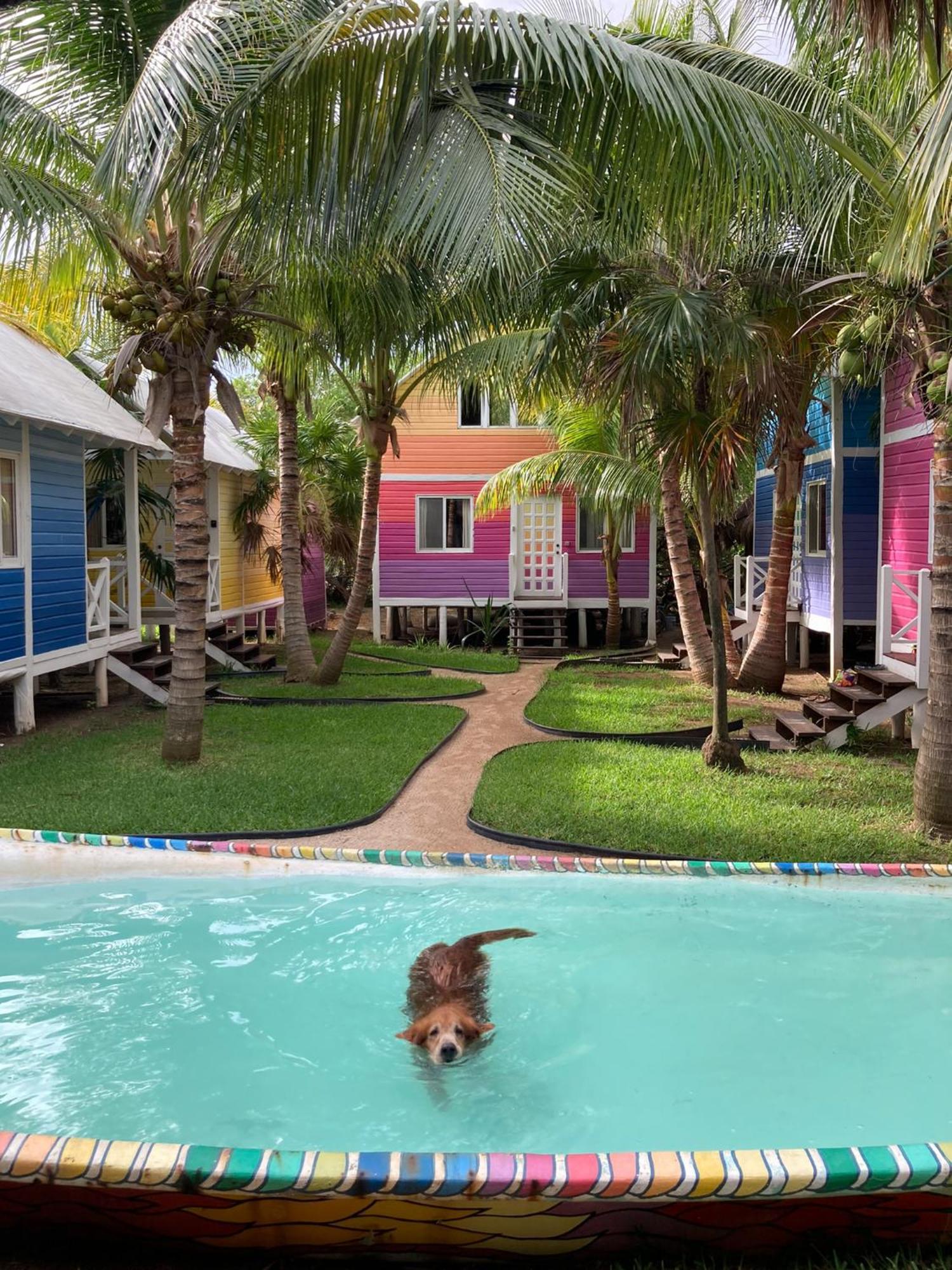 Whyknot Holbox B&B 외부 사진